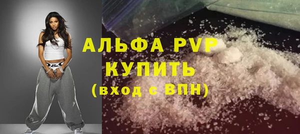 прущие грибы Гусиноозёрск