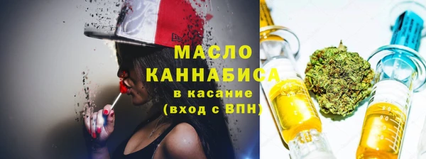 индика Нефтегорск