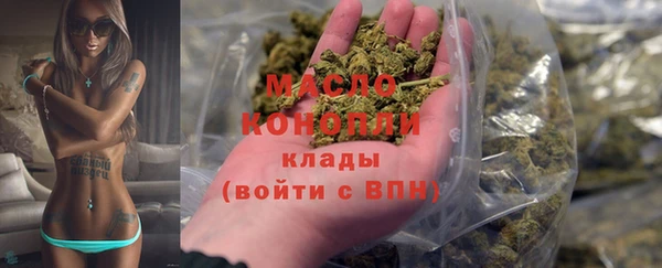 прущие грибы Гусиноозёрск