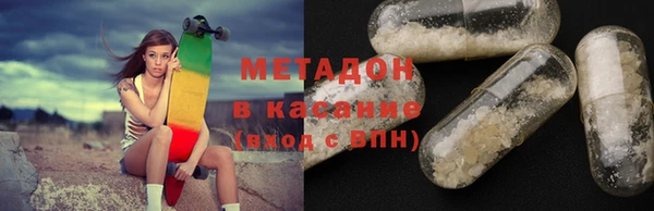прущие грибы Гусиноозёрск