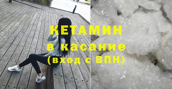 прущие грибы Гусиноозёрск