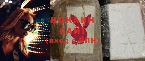 прущие грибы Гусиноозёрск